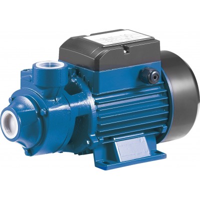 Rainpump Santrifüj Pompa 1